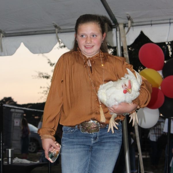 Broiler 2sq