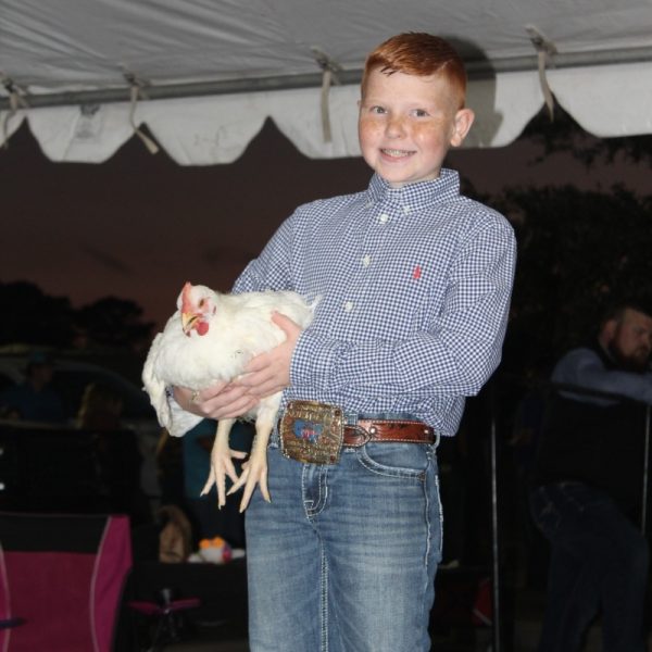 Broiler 7sq